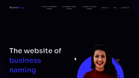 What Brandsnag.com website looked like in 2021 (2 years ago)