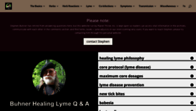 What Buhnerhealinglyme.com website looked like in 2021 (4 years ago)