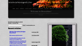 What Bonsai4me.com website looked like in 2021 (2 years ago)