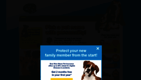 What Bowwow.com.au website looked like in 2021 (2 years ago)