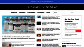 What Biggovernment.news website looked like in 2021 (2 years ago)