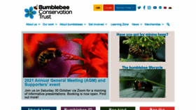 What Bumblebeeconservation.org website looked like in 2021 (2 years ago)