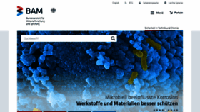 What Bam.de website looked like in 2021 (3 years ago)