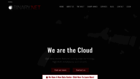 What Binary.net website looked like in 2021 (4 years ago)