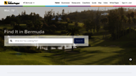 What Bermudayp.com website looked like in 2021 (2 years ago)