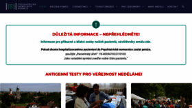 What Bohnice.cz website looked like in 2021 (4 years ago)