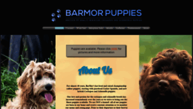 What Barmorkennels.com website looked like in 2021 (2 years ago)