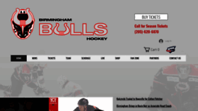 What Bullshockey.net website looked like in 2022 (2 years ago)
