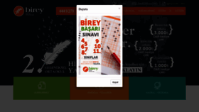 What Birey.com website looked like in 2022 (2 years ago)