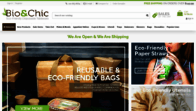 What Bioandchic.com website looked like in 2022 (2 years ago)
