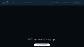 What Bjurfors.se website looked like in 2022 (2 years ago)