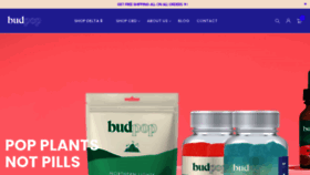 What Budpop.com website looked like in 2022 (2 years ago)