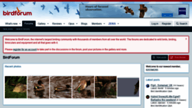 What Birdforum.net website looked like in 2022 (2 years ago)