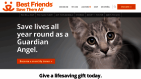 What Bestfriends.org website looked like in 2022 (3 years ago)