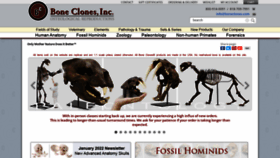 What Boneclones.com website looked like in 2022 (2 years ago)