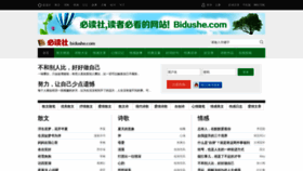 What Bidushe.com website looked like in 2022 (2 years ago)