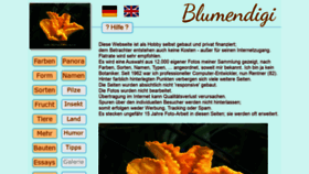What Blumendigi.com website looked like in 2022 (2 years ago)