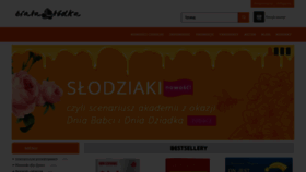 What Biala-lodka.pl website looked like in 2022 (2 years ago)
