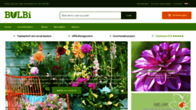 What Bulbi.nl website looked like in 2022 (3 years ago)