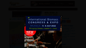 What Bioenergy-news.com website looked like in 2022 (2 years ago)