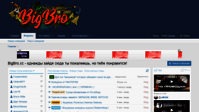 What Bigbro.biz website looked like in 2022 (1 year ago)