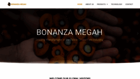 What Bonanzamegahoil.com website looked like in 2022 (2 years ago)