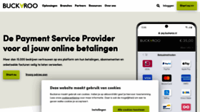 What Buckaroo.nl website looked like in 2022 (1 year ago)
