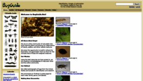 What Bugguide.net website looked like in 2022 (3 years ago)