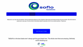 What Bidsoflo.us website looked like in 2022 (1 year ago)