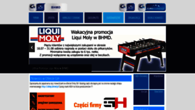 What Bhmd.pl website looked like in 2022 (1 year ago)