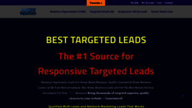 What Besttargetedleads.com website looked like in 2022 (1 year ago)