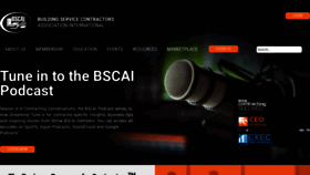 What Bscai.org website looked like in 2022 (1 year ago)