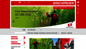 What Birchmeier.com website looked like in 2022 (1 year ago)