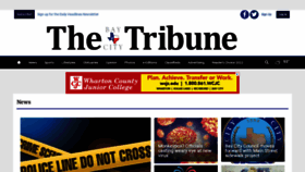 What Baycitytribune.com website looked like in 2022 (2 years ago)