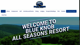 What Blueknob.com website looked like in 2022 (1 year ago)