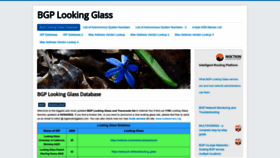 What Bgplookingglass.com website looked like in 2022 (1 year ago)
