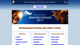 What Belkavet.ru website looked like in 2022 (1 year ago)