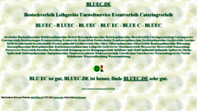 What Bluec.de website looked like in 2022 (1 year ago)