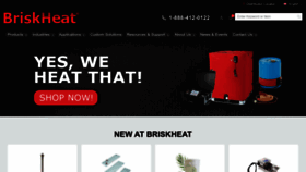 What Briskheat.com website looked like in 2022 (1 year ago)