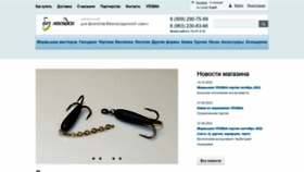 What Beznasadki.ru website looked like in 2022 (1 year ago)