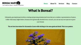 What Bonsaimary.com website looked like in 2022 (1 year ago)
