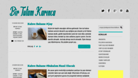 What Birtutamkarinca.com website looked like in 2022 (1 year ago)