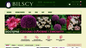 What Bilscy.info website looked like in 2022 (1 year ago)