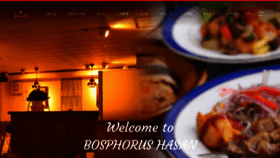 What Bosphorushasan.com website looked like in 2022 (3 years ago)