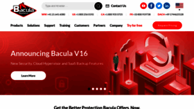 What Baculasystems.com website looked like in 2023 (1 year ago)