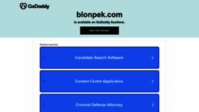 What Blonpek.com website looked like in 2023 (1 year ago)