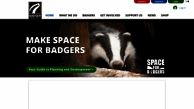 What Badger.org.uk website looked like in 2023 (1 year ago)