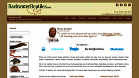 What Backwaterreptiles.com website looked like in 2023 (2 years ago)