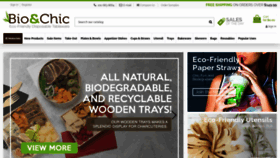 What Bioandchic.com website looked like in 2023 (1 year ago)