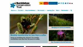 What Bumblebeeconservation.org website looked like in 2023 (1 year ago)